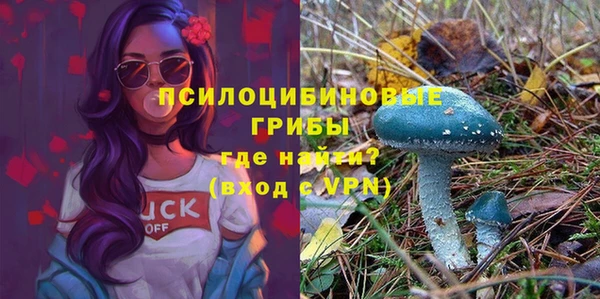 MDMA Premium VHQ Липки