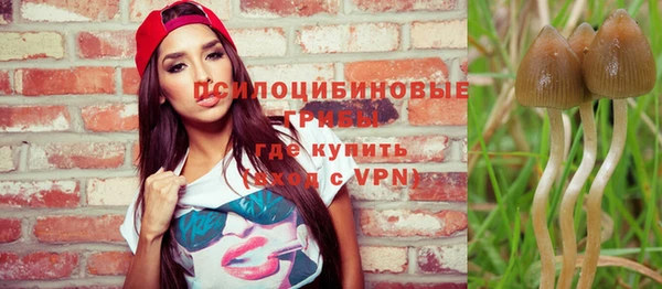 эйфоретик Лабытнанги
