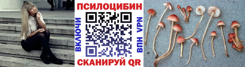 Галлюциногенные грибы Magic Shrooms  Нолинск 